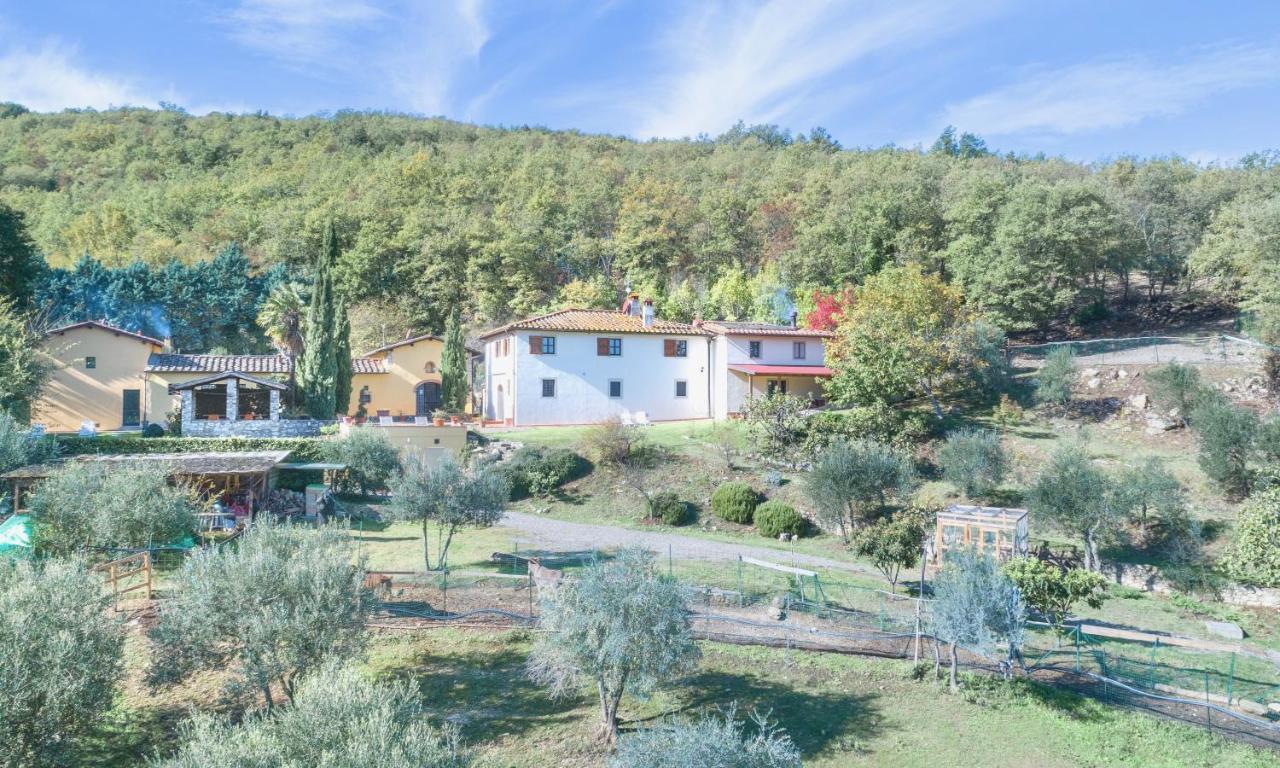 바뇨아리폴리 Casignano B&B 외부 사진